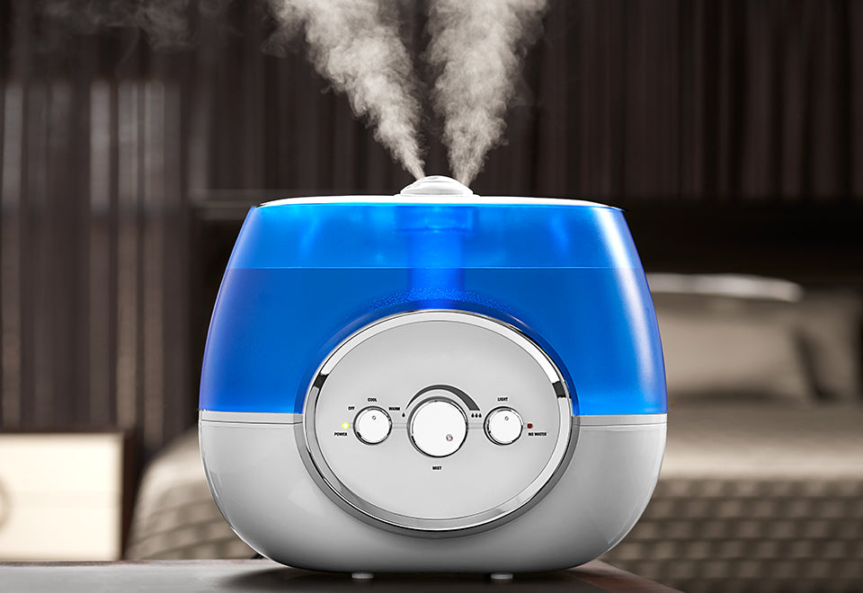 Warm And Cool Mist Humidifier