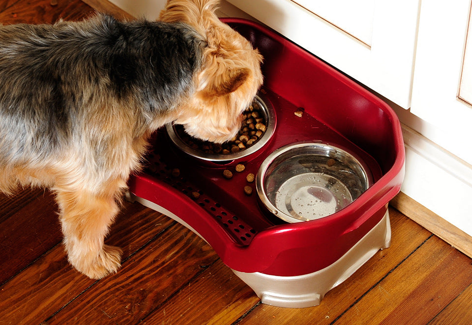 Mess Proof Pet Feeder