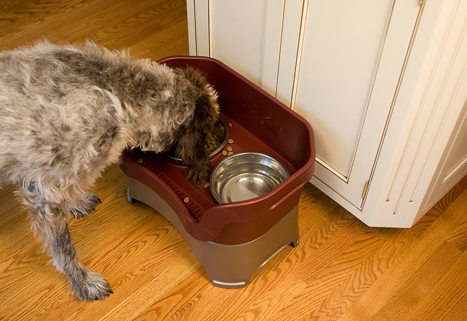 Mess Proof Pet Feeder - image 10