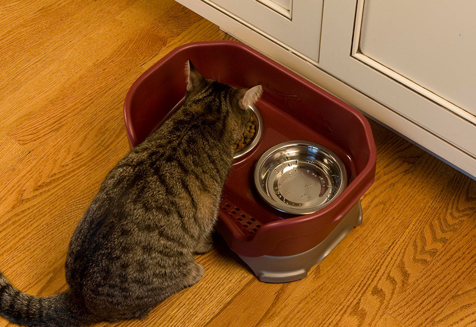 Mess Proof Pet Feeder - image 3