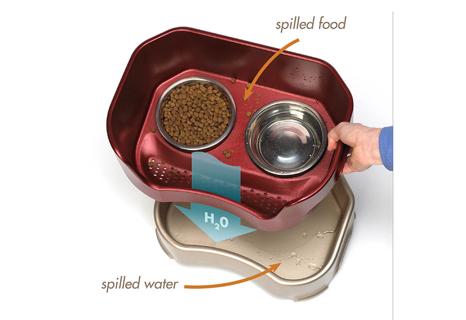 Mess Proof Pet Feeder - image 4