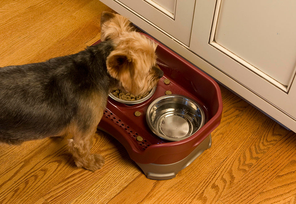 Mess Proof Pet Feeder - image 5