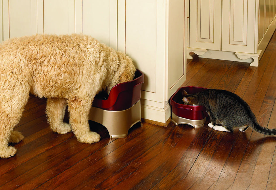 Mess Proof Pet Feeder - image 7