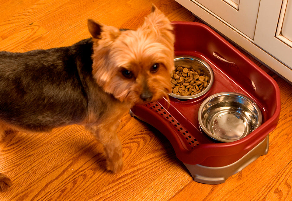 Mess Proof Pet Feeder - image 8