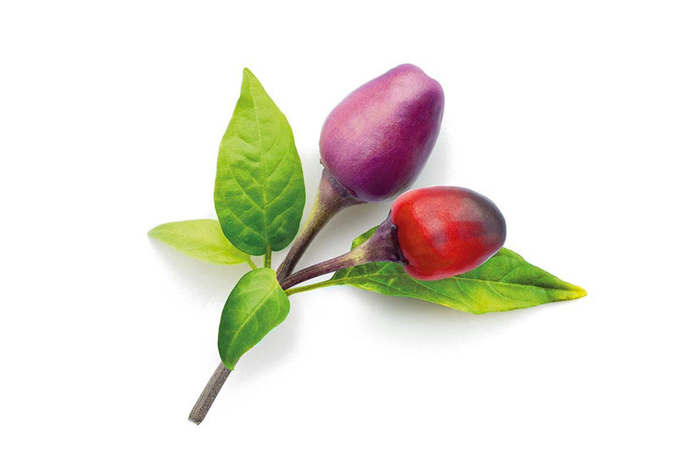 Extra Pods for the World's Smartest Indoor Garden (3-Pack) - image 5