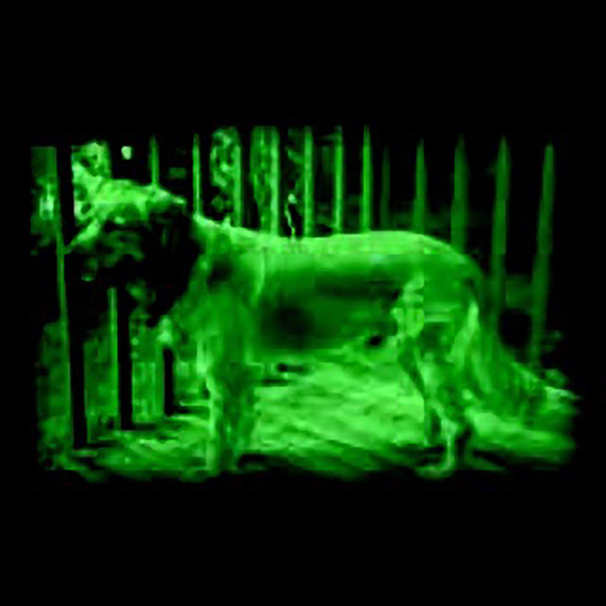 Kids High-Tech Infrared Night Scope - image 6