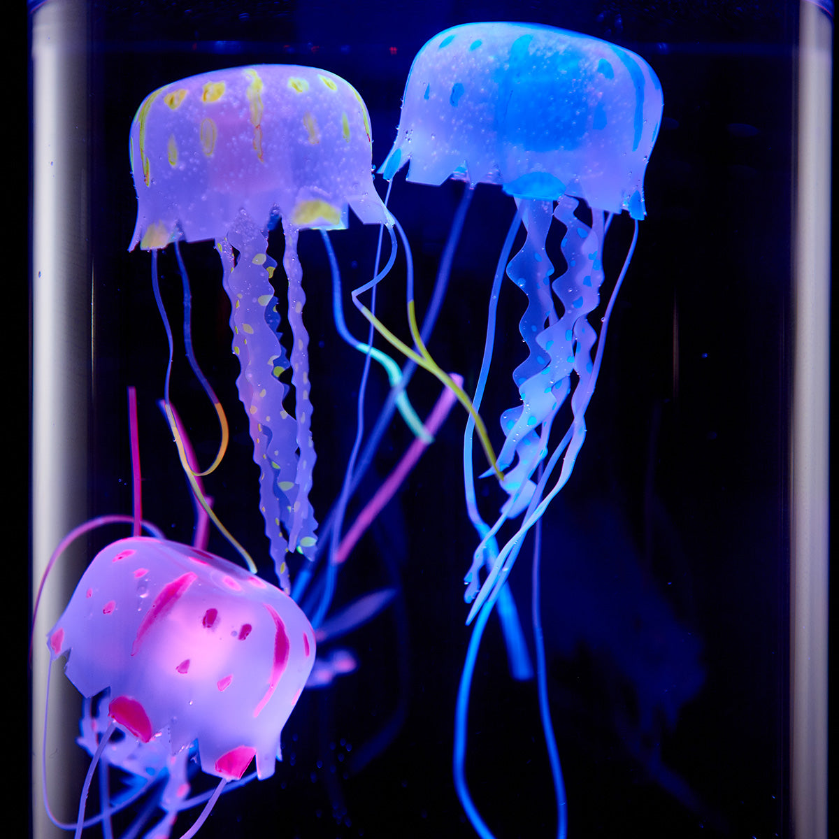 Jellyfish Aquarium - image 2
