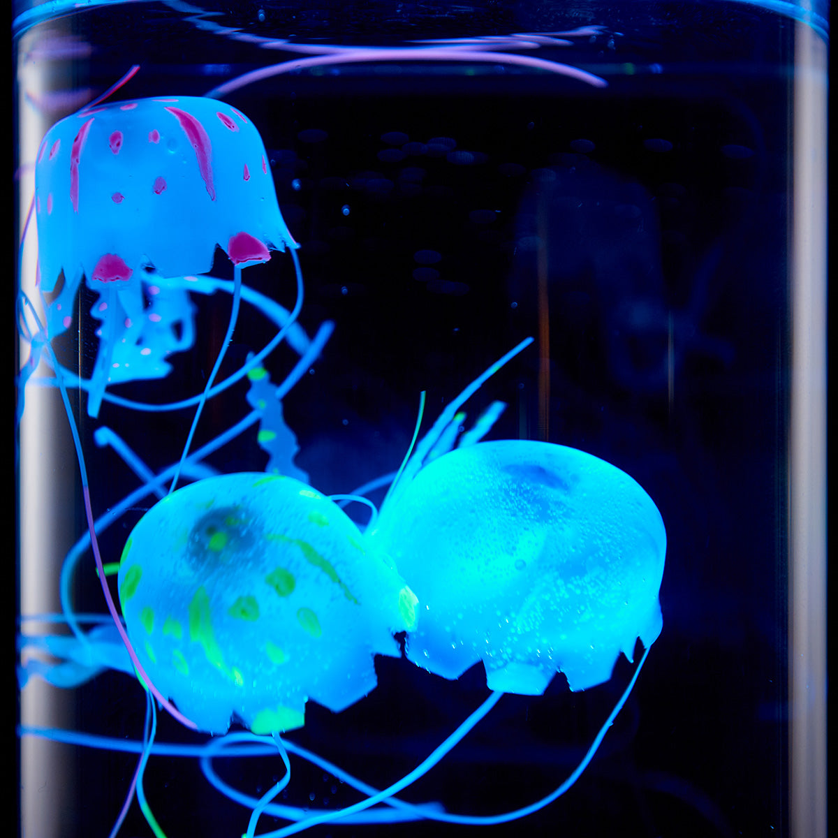 Jellyfish Aquarium - image 4