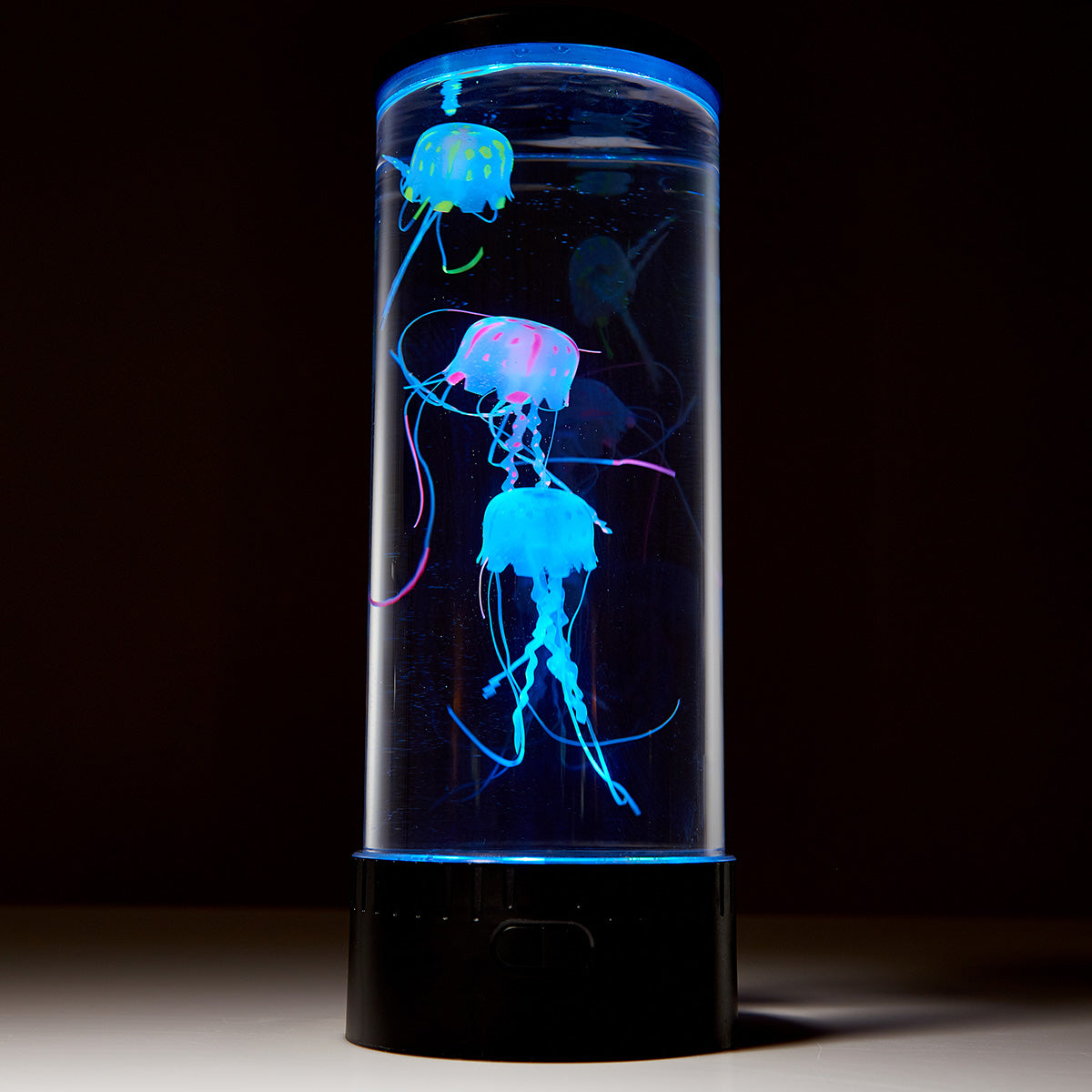 Jellyfish Aquarium - image 5