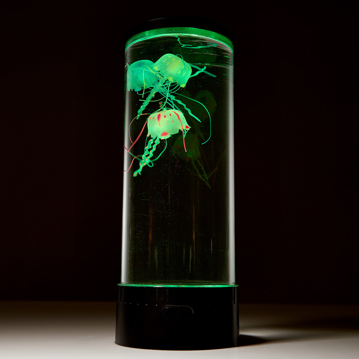 Jellyfish Aquarium - image 7