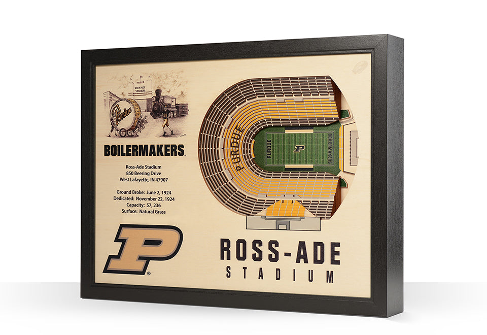NCAA 3D Stadium Wall Art - image 42