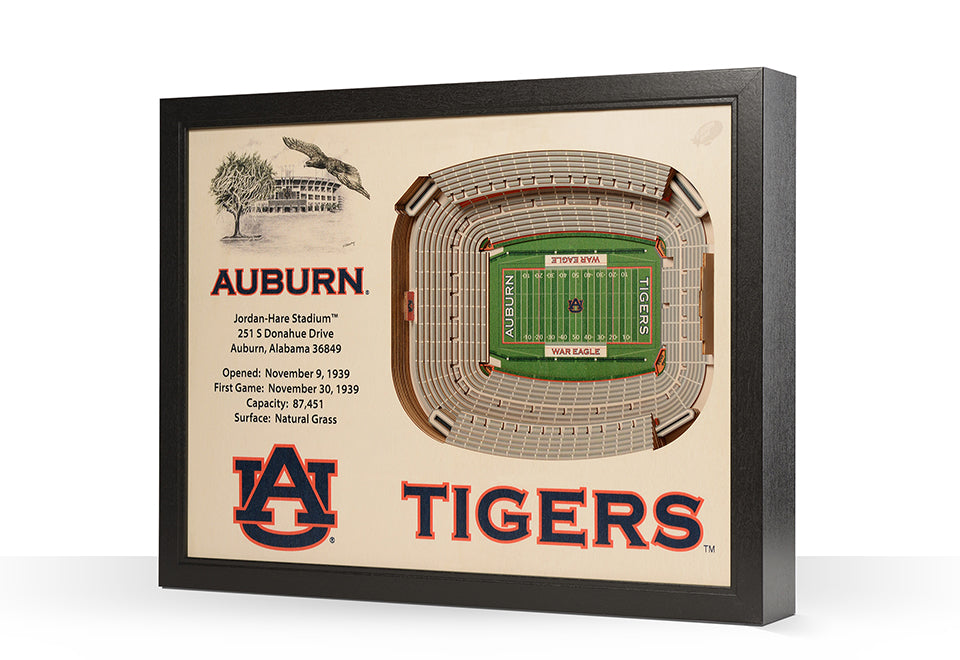 NCAA 3D Stadium Wall Art - image 71