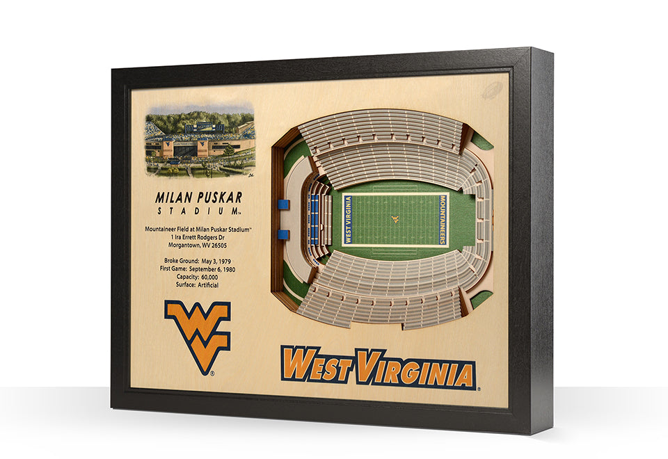 NCAA 3D Stadium Wall Art - image 57