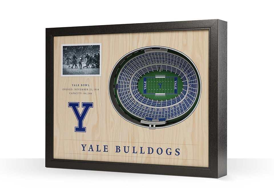 NCAA 3D Stadium Wall Art - image 64