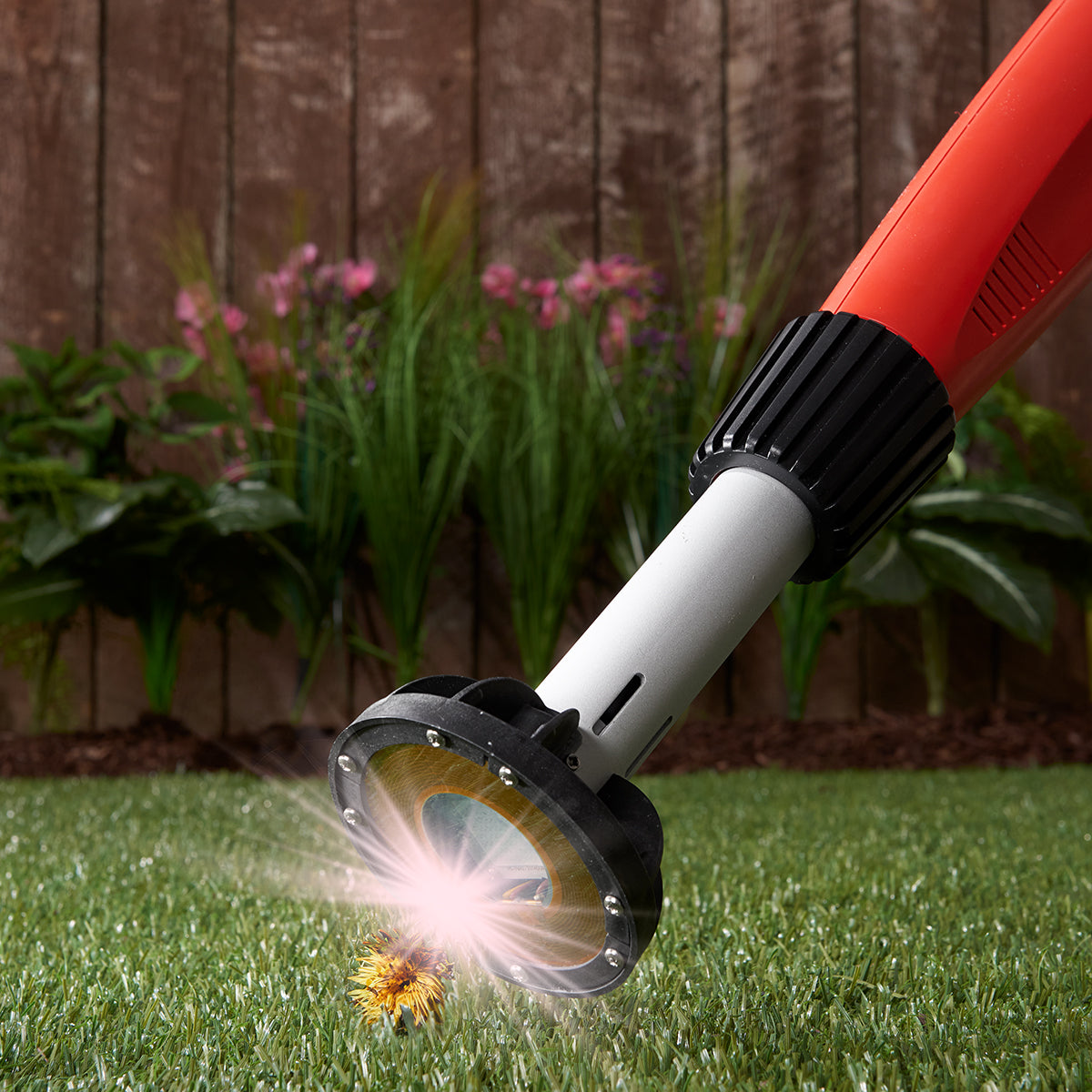 Chemical-Free Weed Killer