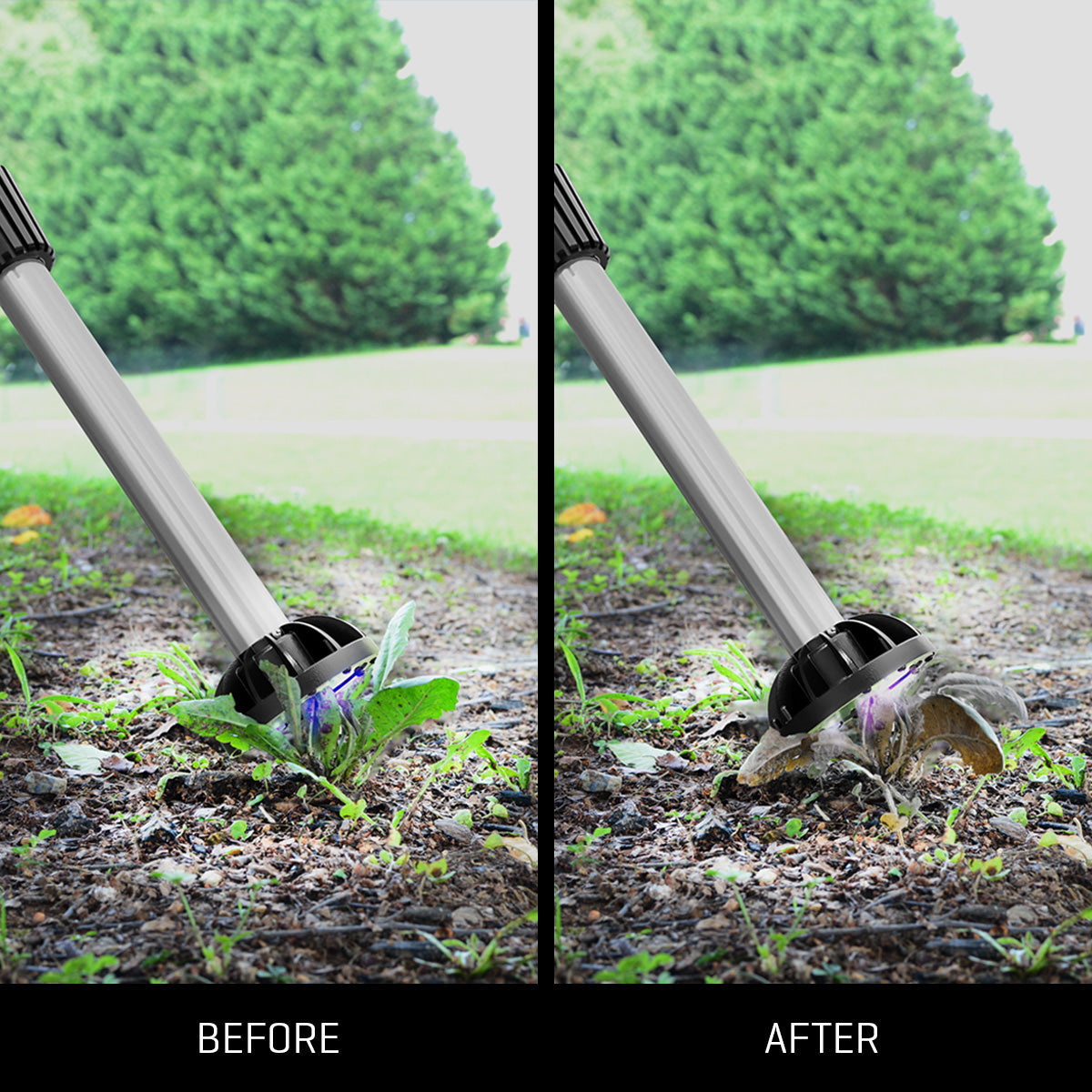 Chemical-Free Weed Killer - image 3