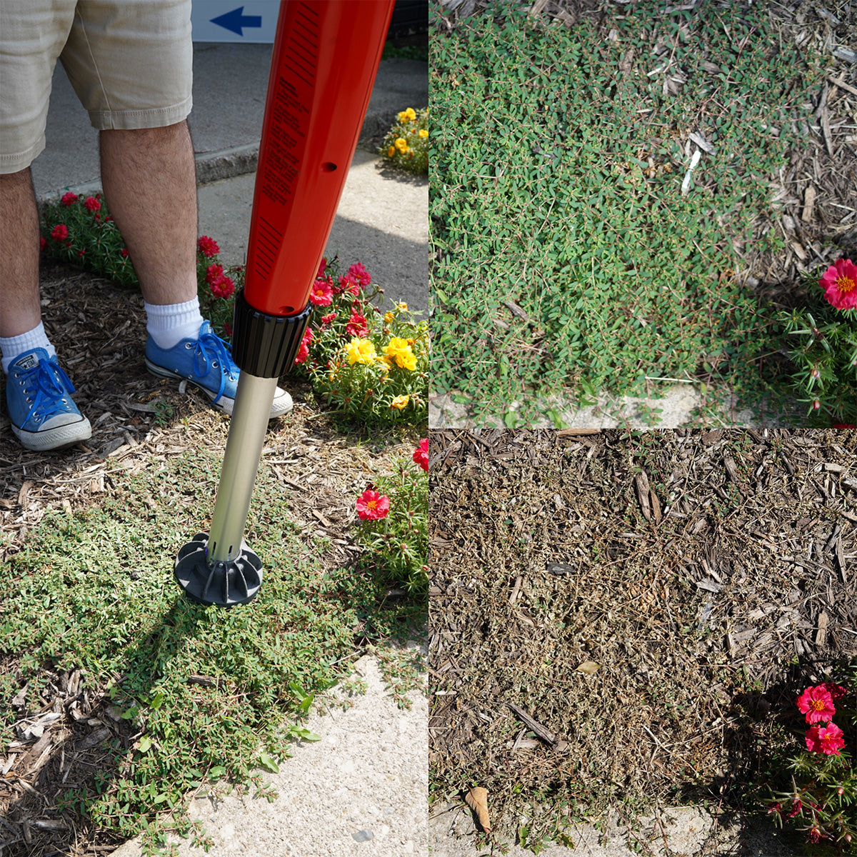 Chemical-Free Weed Killer - image 6