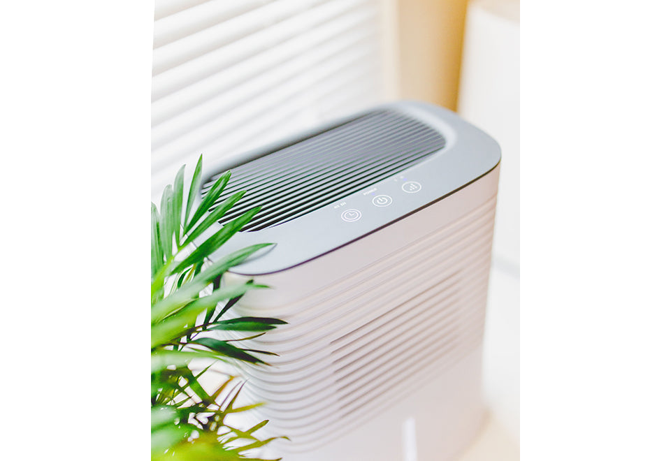 4 Pint Dehumidifier - image 2