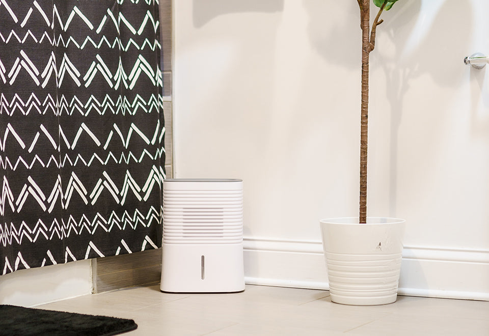 4 Pint Dehumidifier - image 5