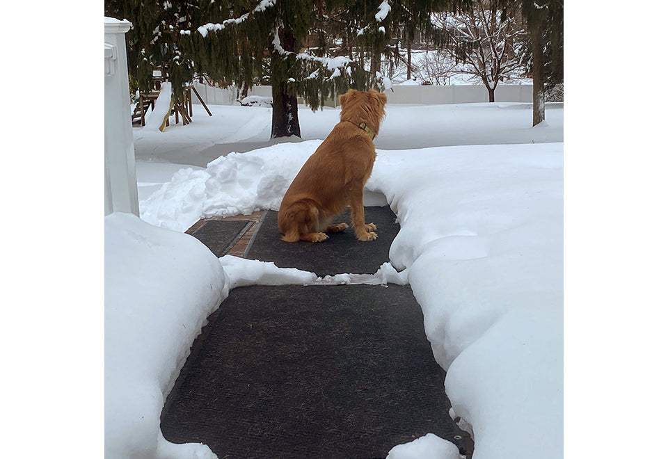 Heated Snow Melting Door Mat - image 6