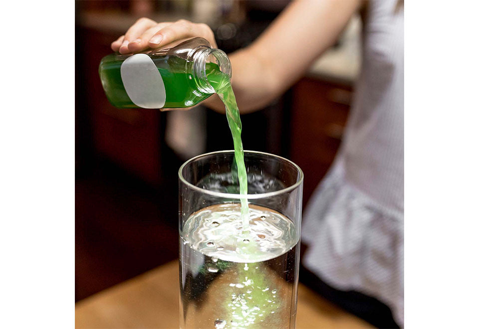 Natural Algae Air Purifier - image 6