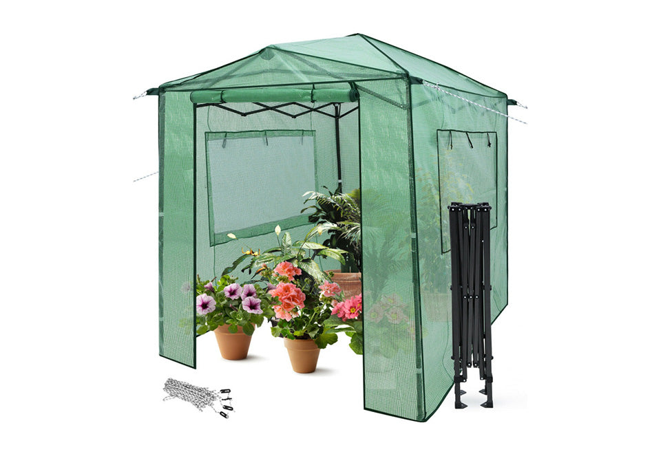 Pop-Up Greenhouse - image 4