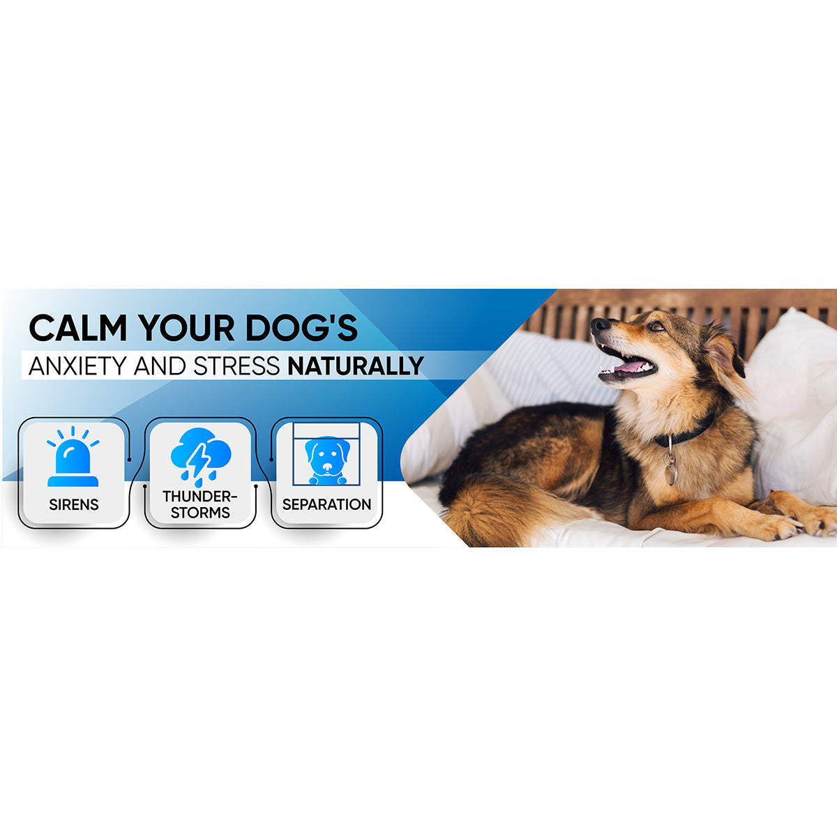 Sound Soother for Pets - image 6