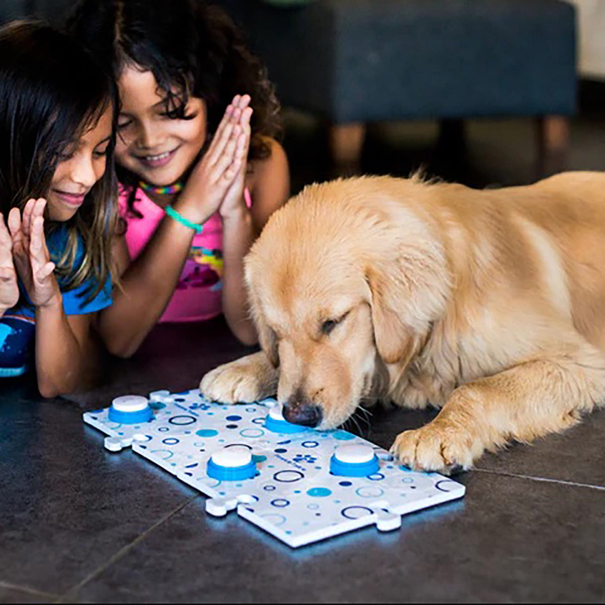Recordable Pet Training Buttons - image 3