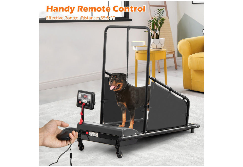 Pet Treadmill - image 2