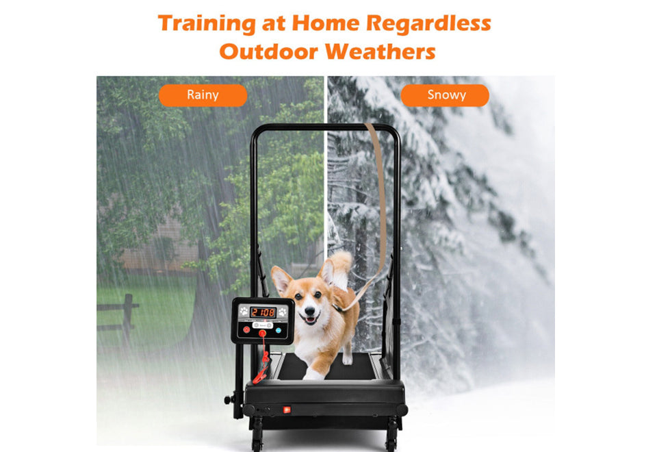 Pet Treadmill - image 5