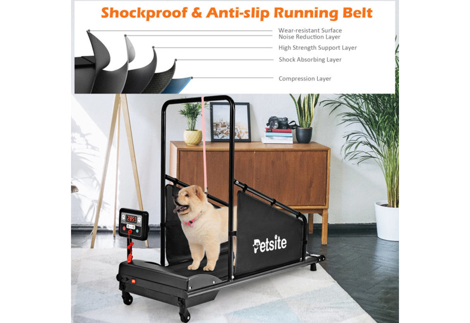 Pet Treadmill - image 6