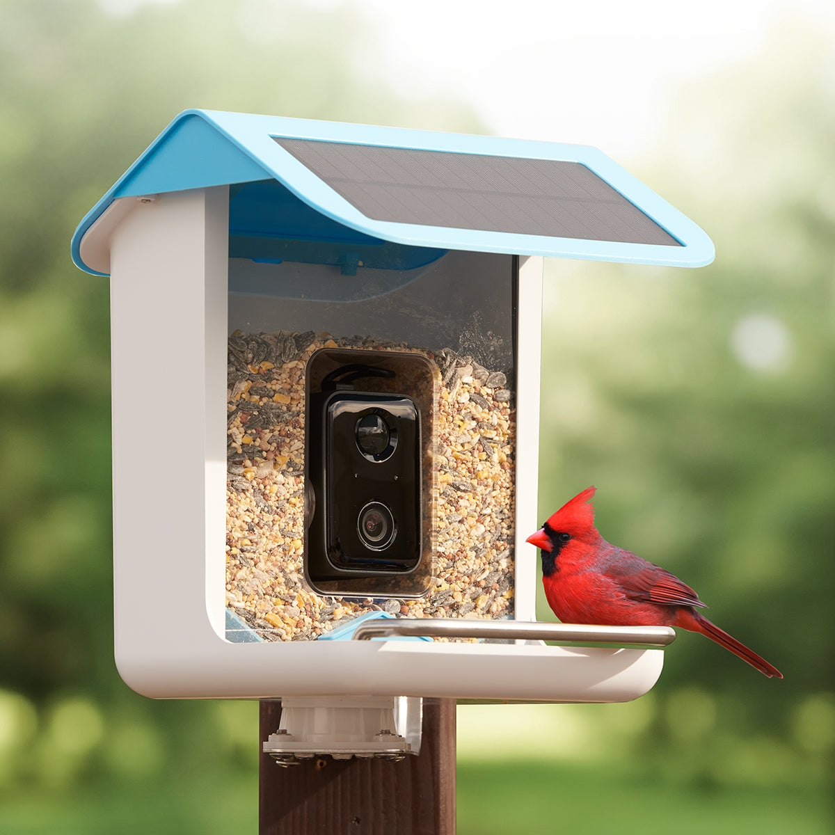 Video Camera Bird Feeder by Sharper Image - image 3