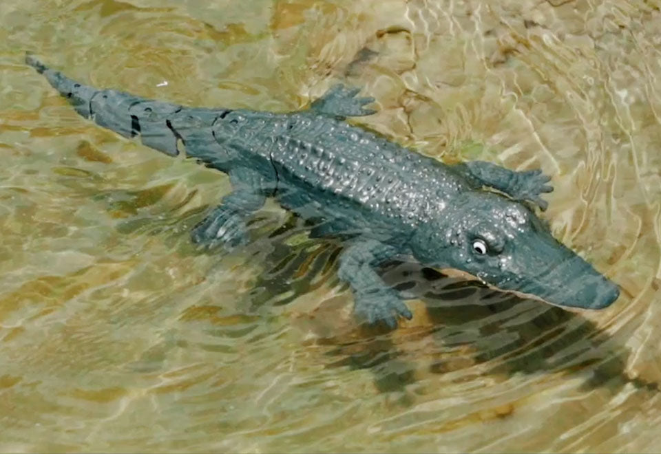 RC Robot Crocodile - image 2