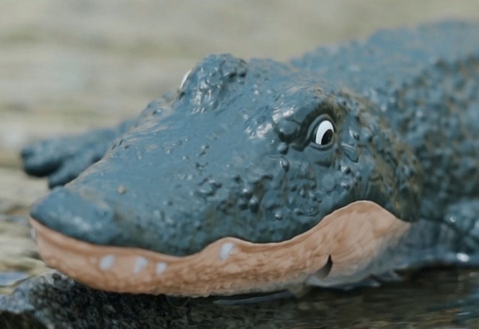 RC Robot Crocodile - image 4
