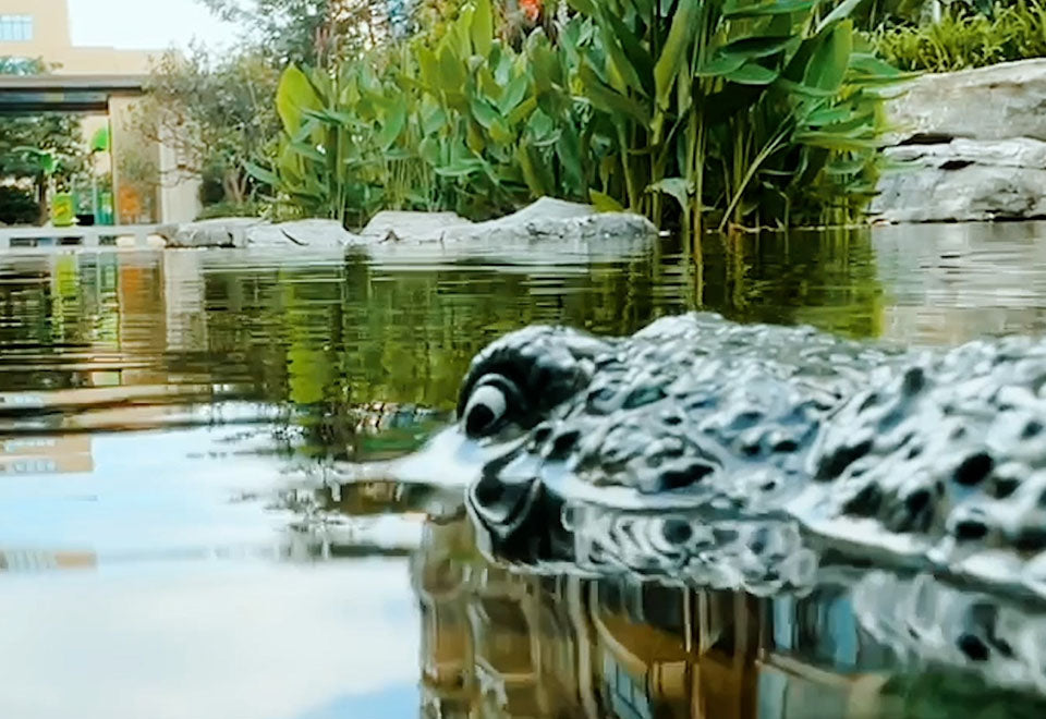 RC Robot Crocodile - image 5