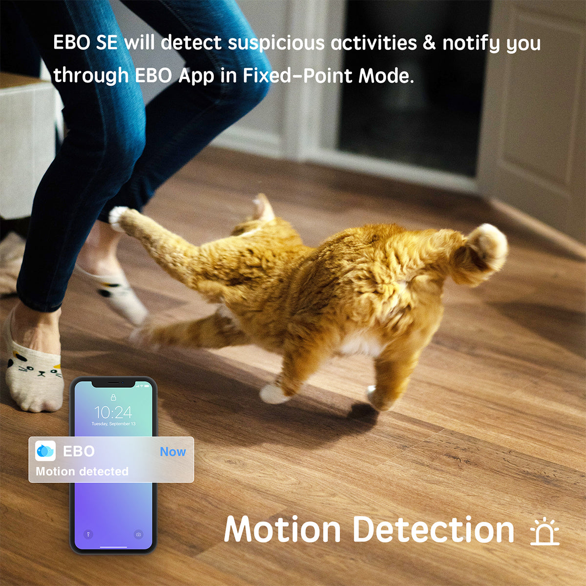 Remote Control Robot Camera - image 5