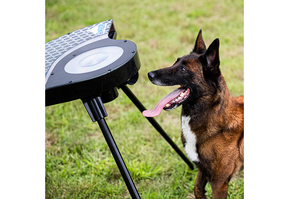 Automatic Dog Disc Launcher