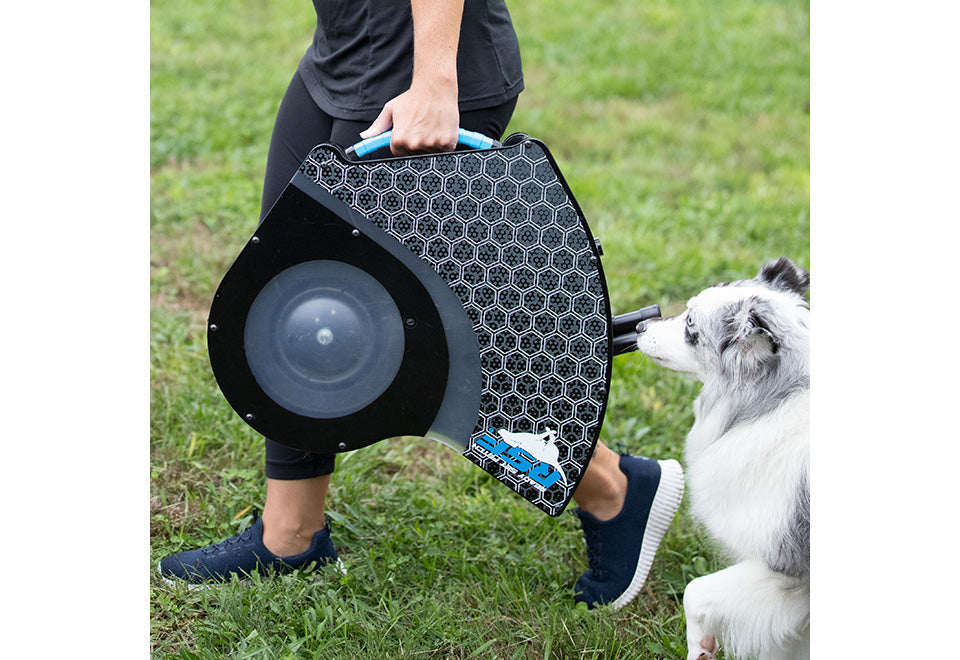 Automatic Dog Disc Launcher - image 3