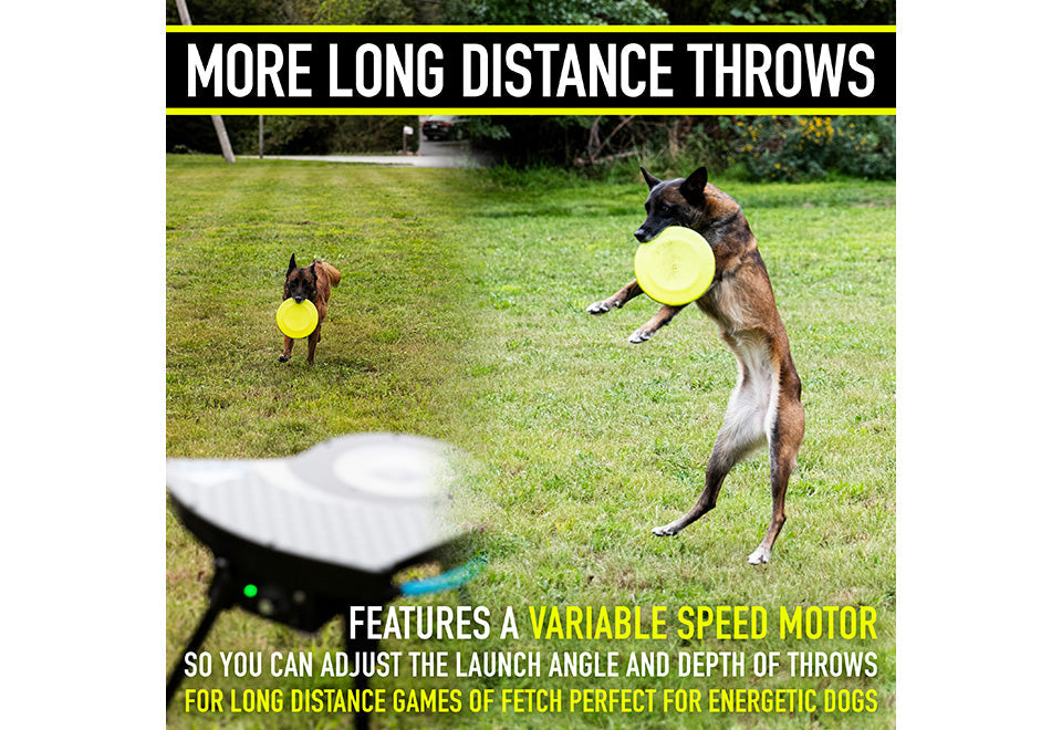 Automatic Dog Disc Launcher - image 9