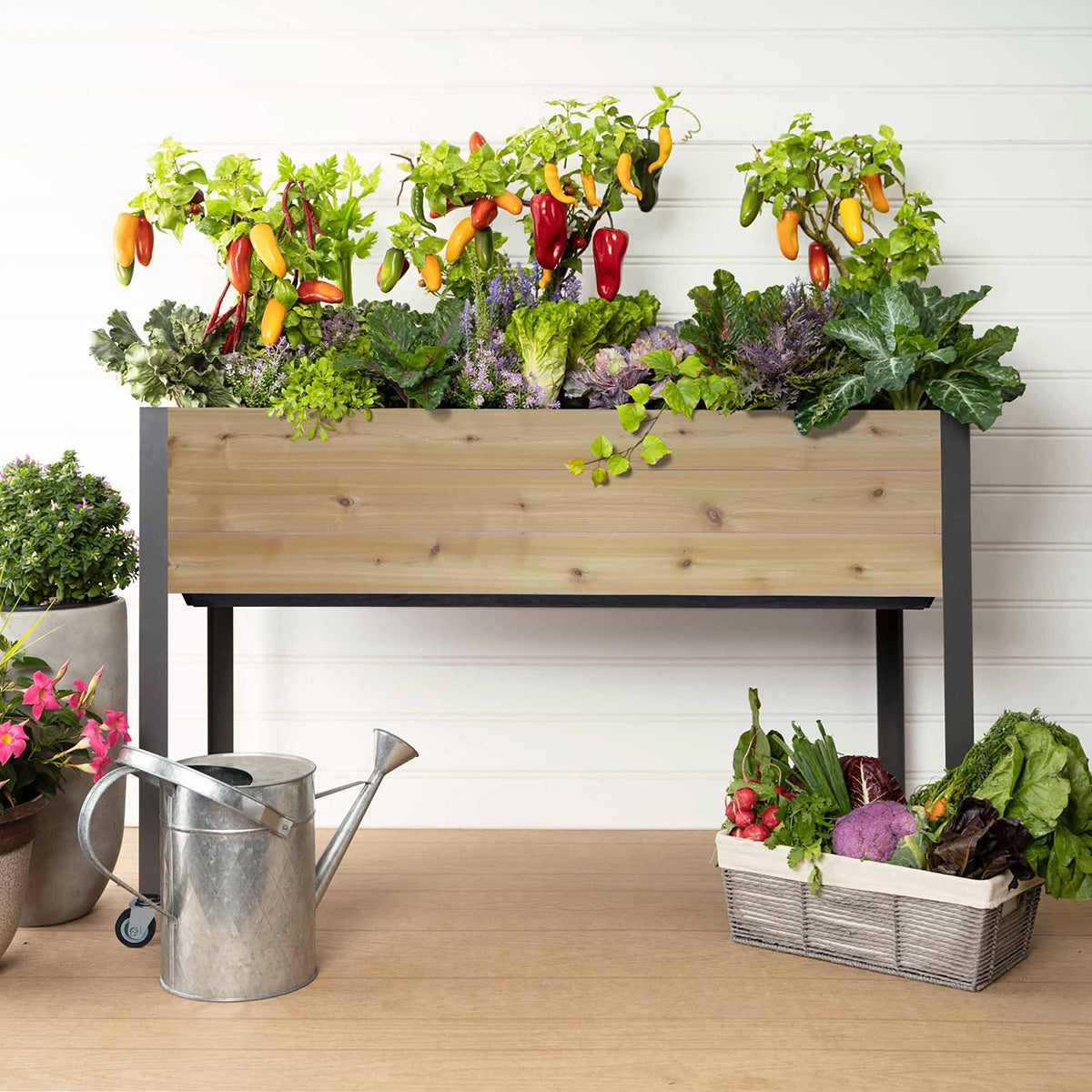 Self-Watering Elevated Planter