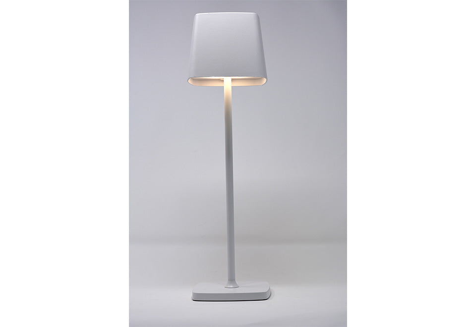 Cordless Indoor/Outdoor Lamp - image 4