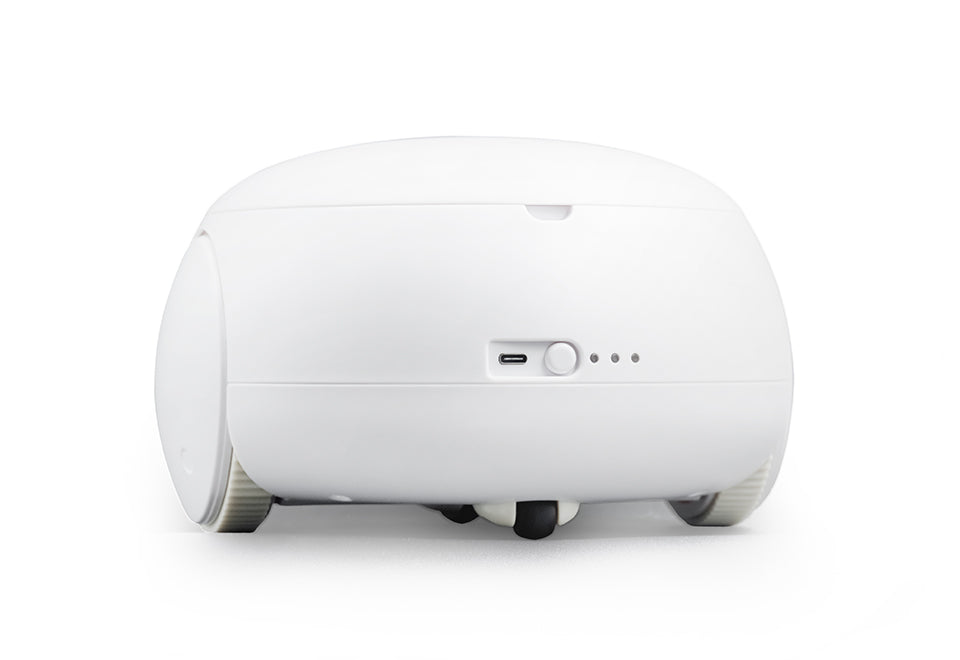 Robotic Pet Interaction Toy - image 4