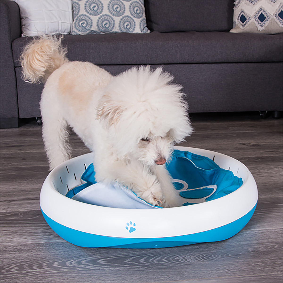 Digging Toy for Dogs