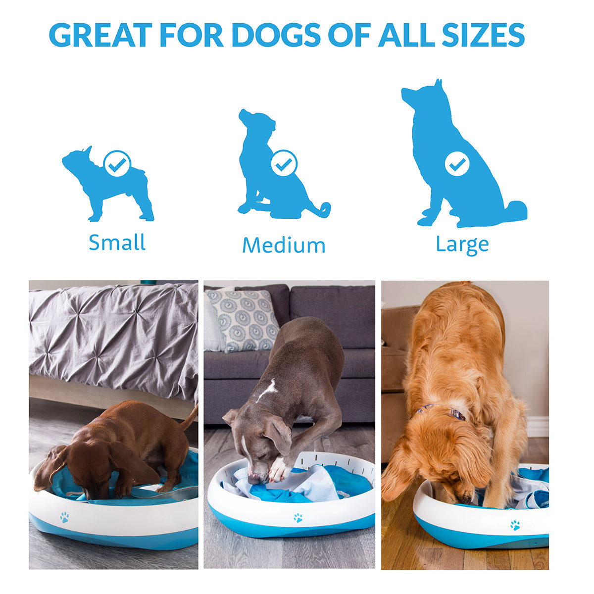 Digging Toy for Dogs - image 3