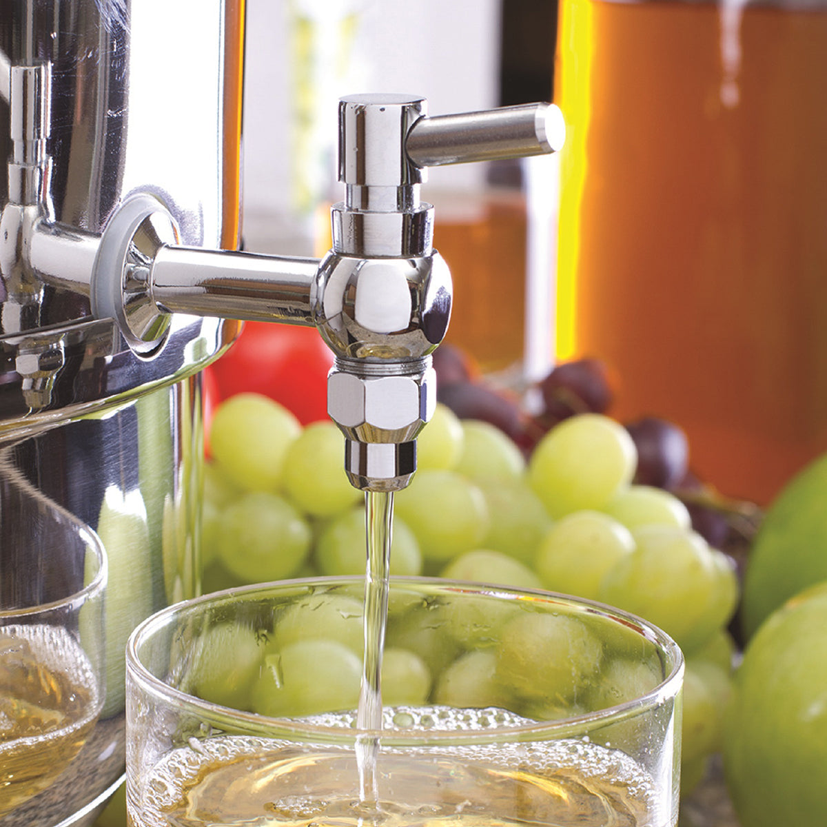 Stainless Steel Stove Top Steam Juicer - image 4