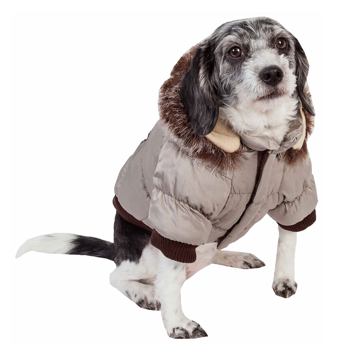 Insulated Dog Coat Parka with Removable Hood - image 2