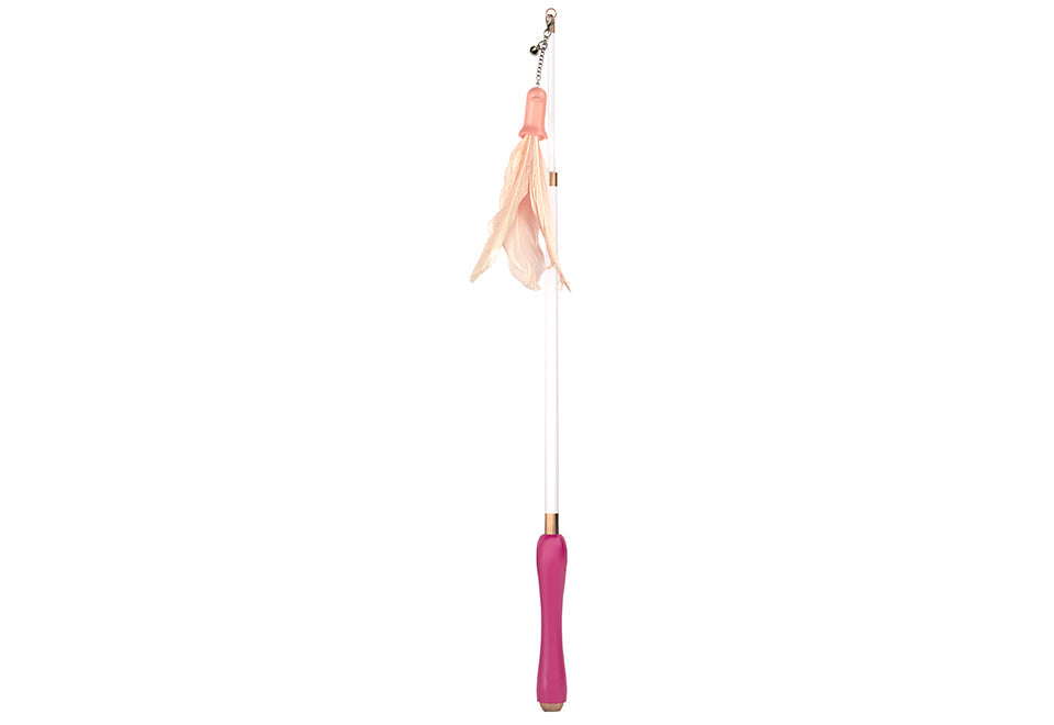 10-in-1 Extendable Cat Laser and Teaser - image 2