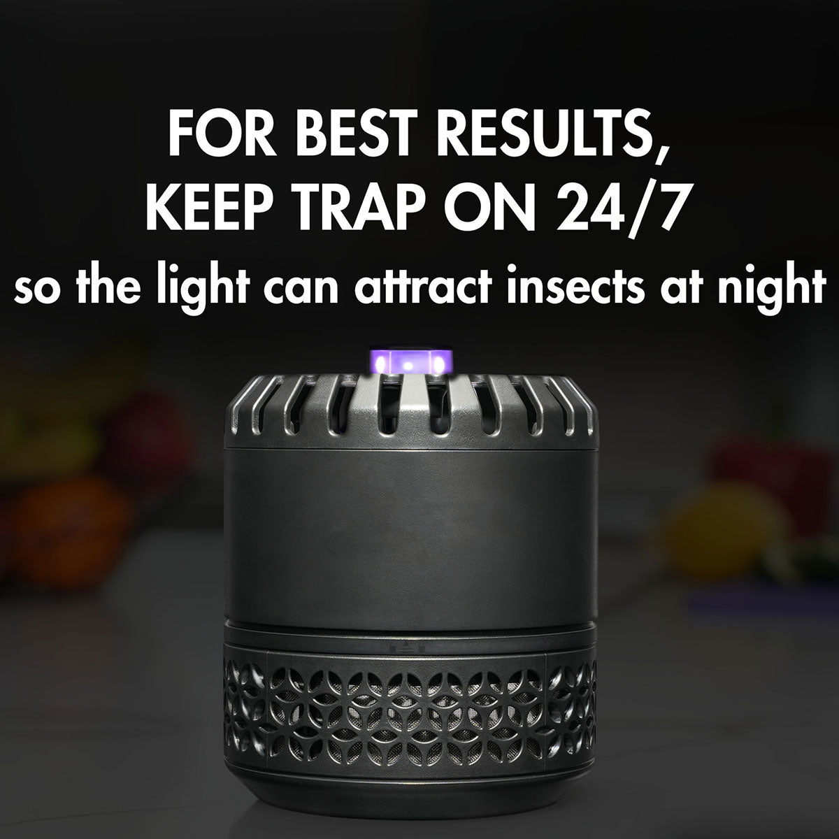 LED Indoor Fruit Fly Trap - image 4