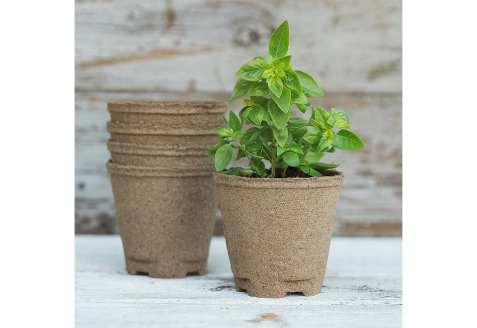 Organic Home Garden Gift Box Set - image 3
