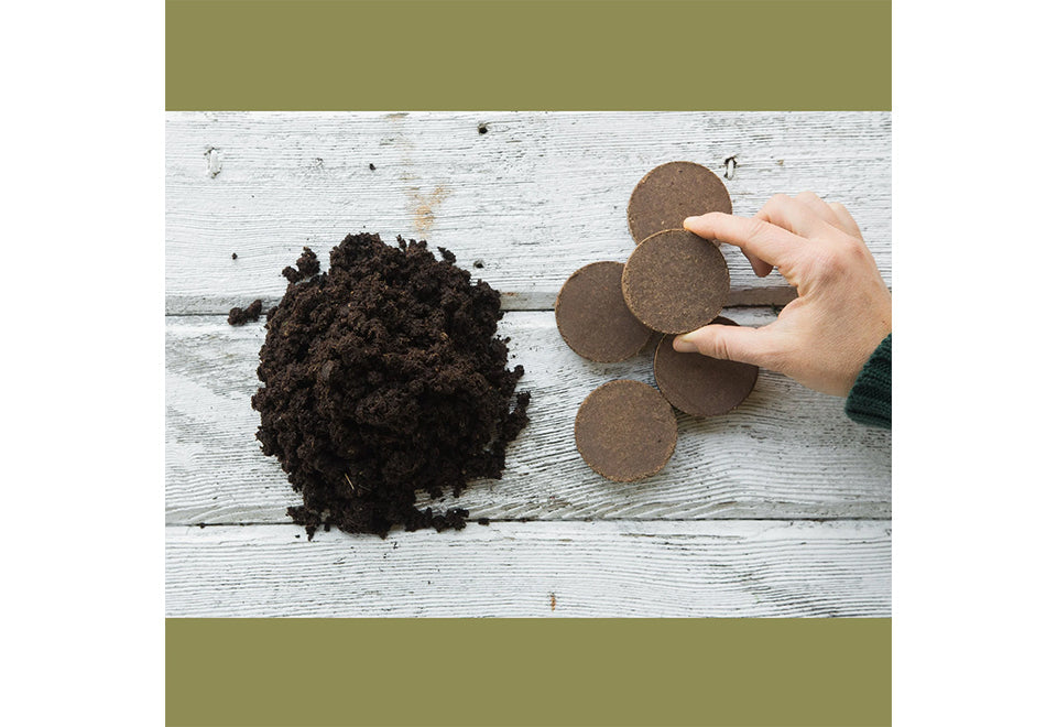 Organic Home Garden Gift Box Set - image 5